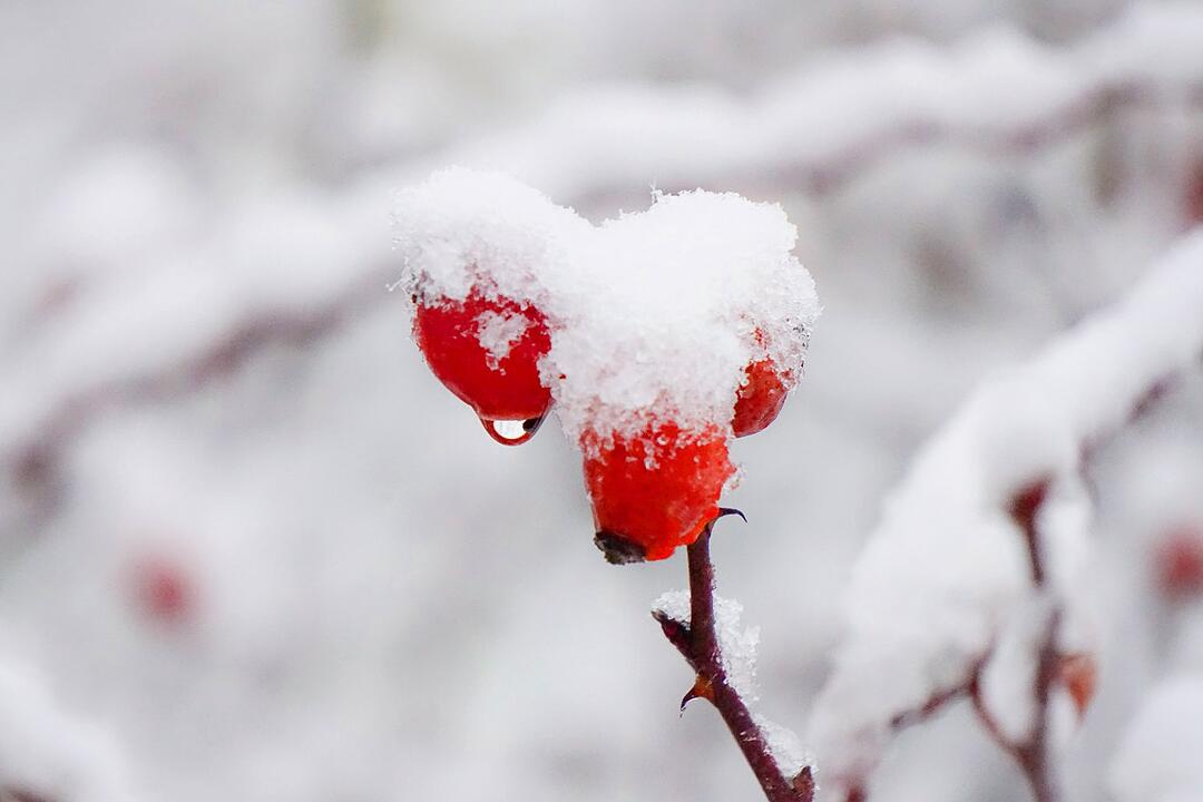 Leserbilder: Der erste Schnee in Franken