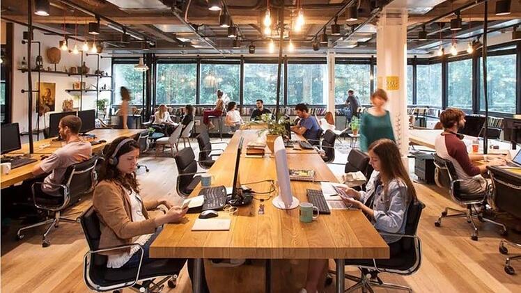 So könnten die Arbeitsplätze im Neubau aussehen. Repro: Büro Archi Viva