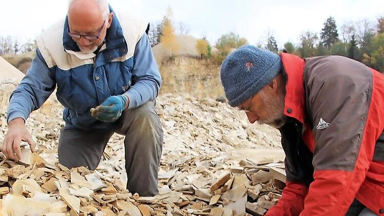Sie puzzeln ohne Vorlage: Wolfgang Claus aus Coburg und Albert Lenze aus Bischberg im Wattendorfer Steinbruch.