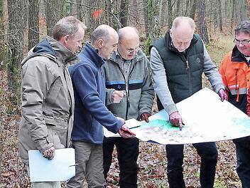 Diskussion im Wald: Die Stadt braucht für ihre 900 Hektar Wald einen neuen Forstbetriebsplan. Bürgermeister Helmut Blank (Bildmitte) sah sich zusammen mit den Stadträten Bruno Schäfer und Klaus Schebler sowie dem Forstsachverständigen Markus Schömig, dem Leiter der Forstbetriebsgemeinschaft Fränkische Rhön, Jörg Mäckler, Armin Otter vom Amt für Ernährung, Landwirtschaft und Forsten (AELF) in Würzburg sowie Bernd Zürner vom AELF in Bad Neustadt im städtischen Wald um.  Foto: Dieter Britz