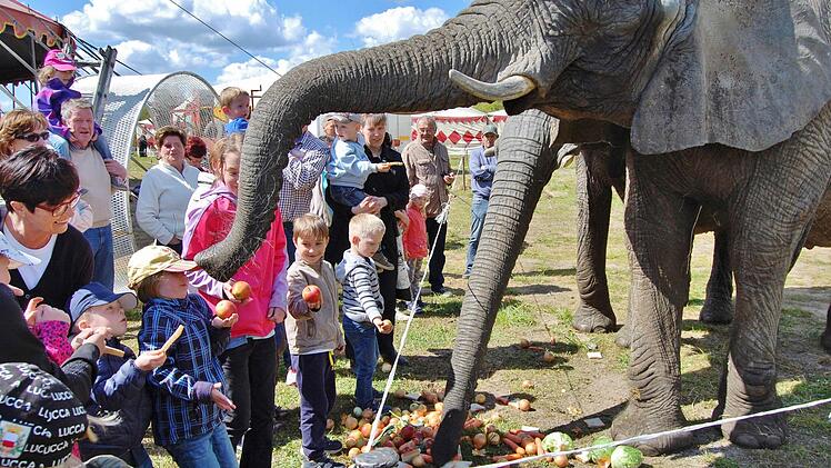 Zirkus Voyage in Bad Kissingen 2016. Foto: Sigismund von Dobschütz
