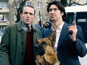 Nicht nur in &Ouml;sterreich und Deutschland absoluter Kult: In &uuml;ber 40 L&auml;ndern weltweit, von Argentinien bis Zypern, liefen die Abenteuer von "Kommissar Rex" (1994-2004) erfolgreich im Fernsehen.