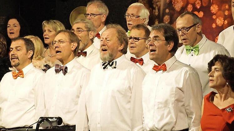 Der Chor "Taktzente" beeindruckte bei seinem Auftritt in Maria Bildhausen die Gäste. Foto: Anton Then