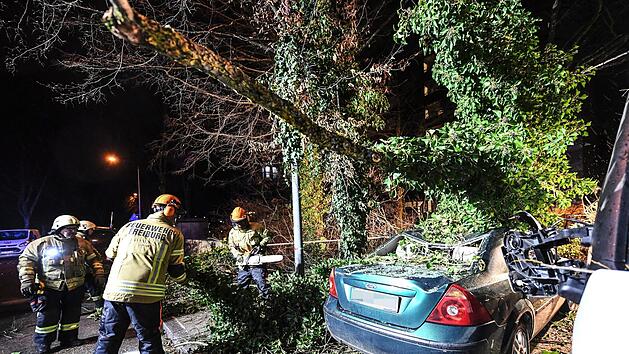 Sturmtief "Sabine" hat in Deutschland für zahlreiche Schäden gesorgt. Doch welche Versicherung springt im Schadensfall ein? Symbolfoto: Patrick Seeger/dpa