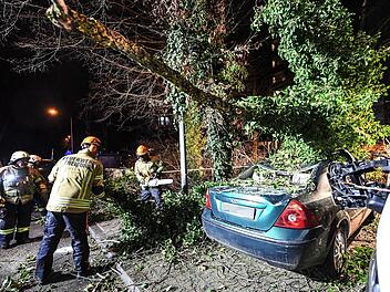 Sturmtief "Sabine" hat in Deutschland für zahlreiche Schäden gesorgt. Doch welche Versicherung springt im Schadensfall ein? Symbolfoto: Patrick Seeger/dpa