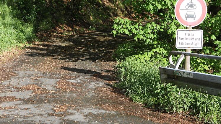 Auch dieser Waldweg könnte als Umleitung dienen. Foto: Michael Wunder