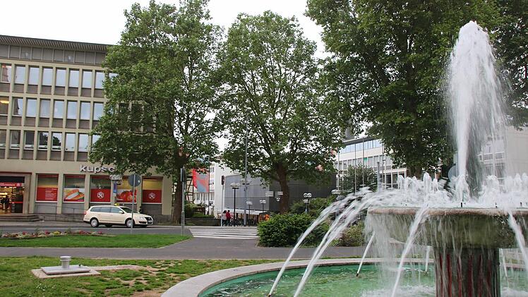 Blick auf die Platanen. Foto: Ralf Ruppert