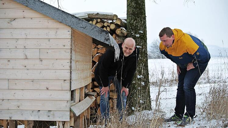Rettet die Bienen! Nicht nur Imker sorgen sich um den r&uuml;ckg&auml;ngigen Bienenbestand.  Fotos: Franziska Wagner