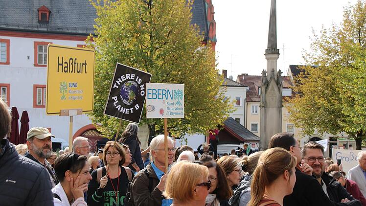 Klimastreik in Haßfurt
