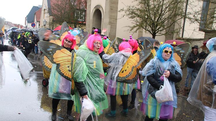 Schmetterlinge beim Umzug Thomas Malz
