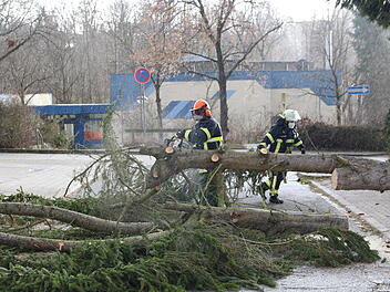 Im Landkreis Fürth stürzten mehrere Bäume um und blockierten die Fahrbahn.