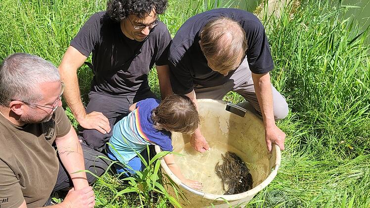 Haag: Naturschutz-Projekt startet - f&uuml;r den Erhalt einer gef&auml;hrdeten Kleinfischart