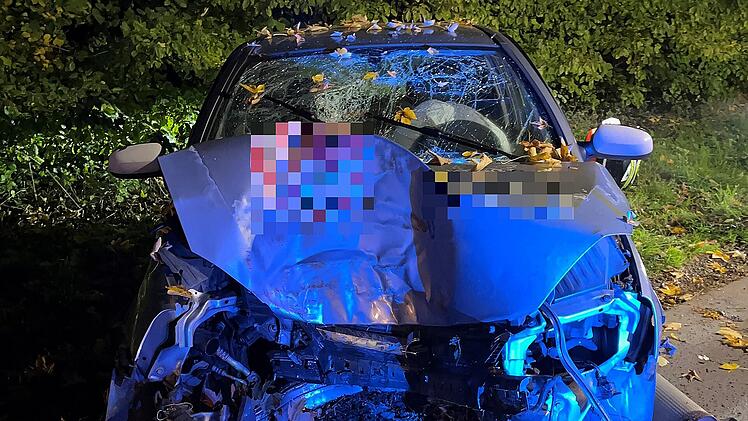 Lieferwagen kracht gegen Baum: Pizza-Fahrer bei Neuenmarkt verunglückt
