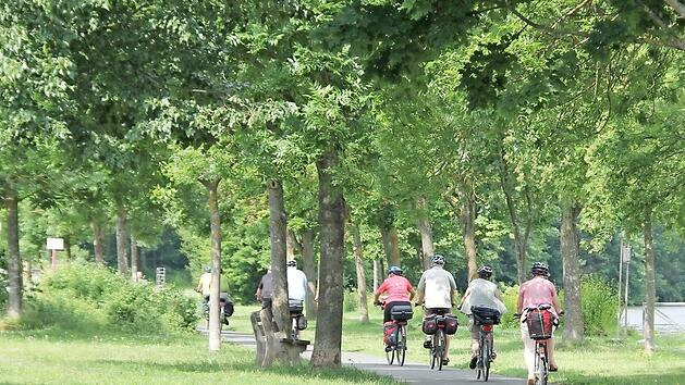 Auf dem Main-Radweg bei Eltmann herrscht derzeit viel Verkehr. Hier ist der Weg besonders sch&ouml;n, denn die Radler-Trasse verl&auml;uft direkt am Fluss. Foto: Katja M&uuml;ller