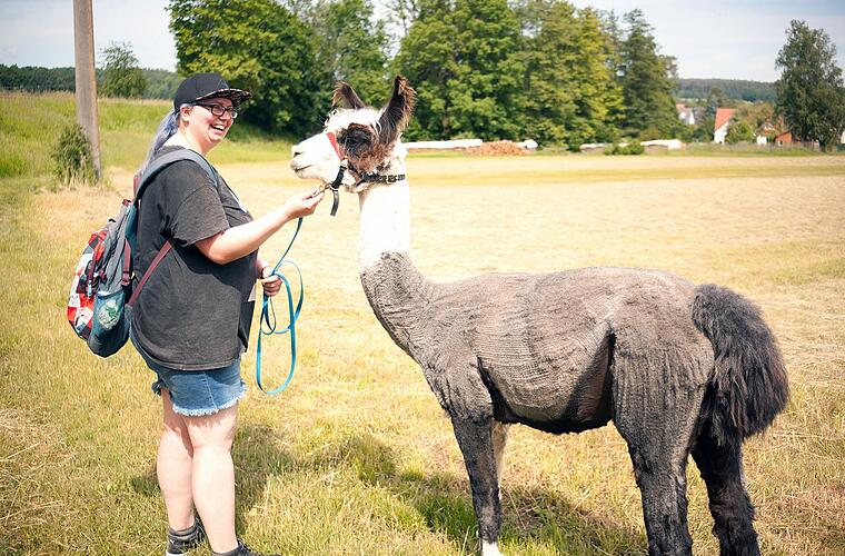 Alpaka- und Lama-Wanderungen in Nüdlingen: "Es hat mich sehr beruhigt" - Vimarsana News