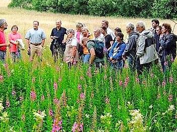 Am "Tag des Wanderns" lädt die FWV-Ortsgruppe Nordhalben zu einer Tour zu den geschützten Biotopen der Umgebung und anschließendem Autorenabend am 14. Mai 2019 ein.  Foto: Norbert Neugebauer