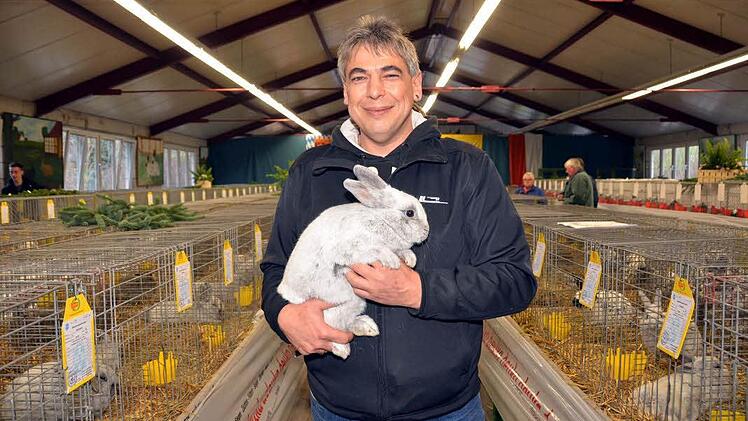 Bertram Trost, Zuchtwart beim Nüdlinger Kleintierzuchtverein, mit einem seiner Rassekaninchen "Kleinsilber hell", das ihm den Landesverbandsehrenpreis bescherte. Foto: Peter Rauch