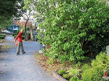 Die Münnerstädter sollen für ihr die Nutzung ihrer Gräber ab Januar 2017 wohlmöglich viel tiefer in die Tasche greifen als bisher. Foto: Heike Beudert