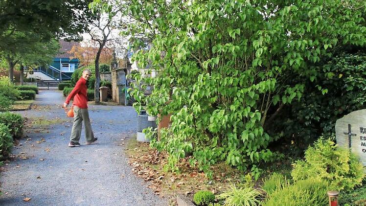 Die Münnerstädter sollen für ihr die Nutzung ihrer Gräber ab Januar 2017 wohlmöglich viel tiefer in die Tasche greifen als bisher. Foto: Heike Beudert