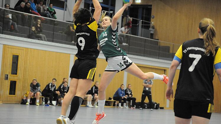 Sensationell: Mit 32:22 gewinnt die SG Garitz/Nüdlingen (grüne Trikots) gegen den Tabellendritten aus Herzogenaurach. Foto: Hopf