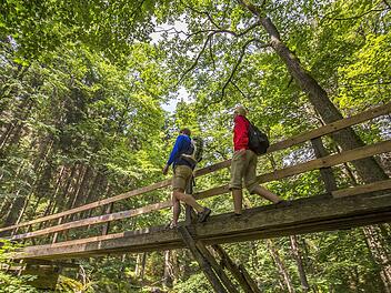 Region: Oberpf&auml;lzer Wald Landkreis: Tirschenreuth Themen: Wandern Beschreibung Wandern im Waldnaabtal entlang des Qualit&auml;tswanderwegs Goldsteig Tags Wandern/Wanderer, Oberpf&auml;lzer Wald, Waldnaabtal, Goldsteig, Landkreis Tirschenreuth