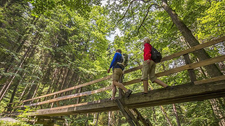 Region: Oberpf&auml;lzer Wald Landkreis: Tirschenreuth Themen: Wandern Beschreibung Wandern im Waldnaabtal entlang des Qualit&auml;tswanderwegs Goldsteig Tags Wandern/Wanderer, Oberpf&auml;lzer Wald, Waldnaabtal, Goldsteig, Landkreis Tirschenreuth