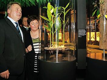 Staatsminister Helmut Brunner zeigte sich bei einem Rundgang mit Mönchshof-Geschäftsführerin Sigrid Daum beeindruckt von der Ausstellung, insbesondere vom stilvollen Botanikum (oben). Fotos: Matthias Hoch