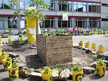 Hochbeet und Pflanzenkübel auf dem Pausenhof - auch das gehört zum ökologischen Lehrpfad am Dientzenhofer-Gymnasium. Fotos: RiegerPress