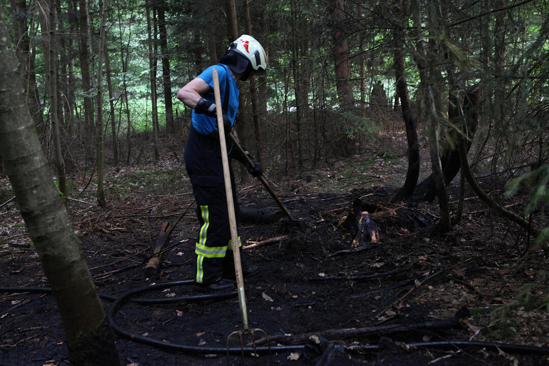 Landkreis Ansbach: Jogger verhindert größeren Waldbrand