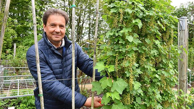 Kreisfachberater Thomas Neder f&uuml;hrt durch den Obstlehrgarten. Foto: Ronald Rinklef