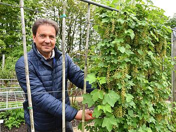 Kreisfachberater Thomas Neder führt durch den Obstlehrgarten. Foto: Ronald Rinklef