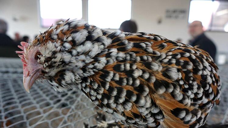 Foto: Richard Sänger