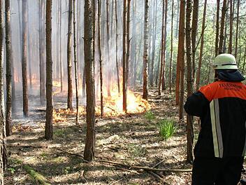 Das Archivbild zeigt einen Waldbrand in Höchstadt Süd.  Foto: Andreas Dorsch)