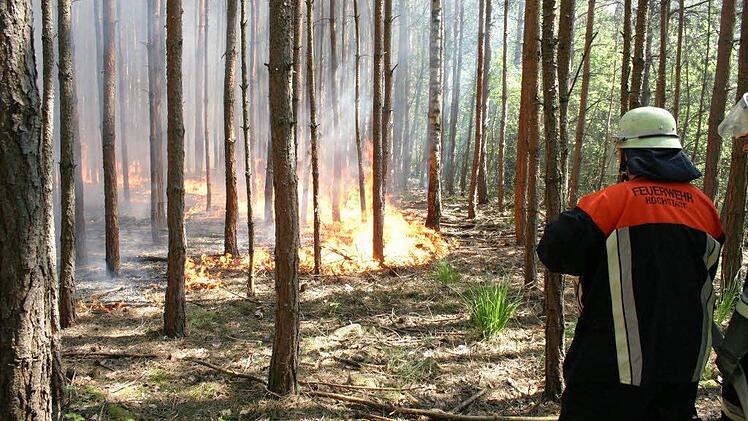 Das Archivbild zeigt einen Waldbrand in Höchstadt Süd.  Foto: Andreas Dorsch)