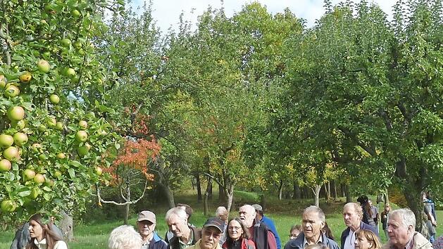 Der Pomologe Wolfgang Subal aus Heidenheim erklärt beim geplanten Treffen in Lendershausen die Obstsorten. Foto: Johannes Bayer/Archiv