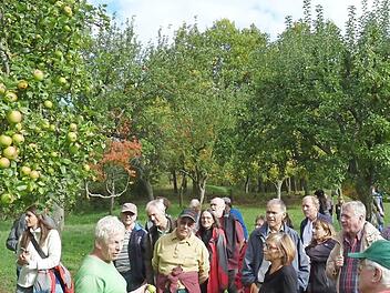 Der Pomologe Wolfgang Subal aus Heidenheim erkl&auml;rt beim geplanten Treffen in Lendershausen die Obstsorten. Foto: Johannes Bayer/Archiv