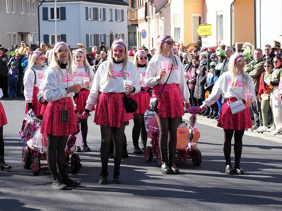 Buntes Faschingstreiben in Unterfranken!