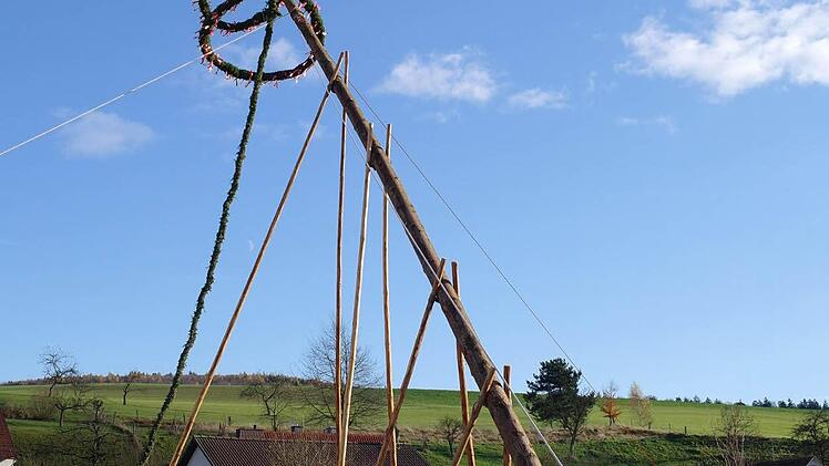Das Aufstellen des Baumes ist in Kothen Männersache: Mit Muskelkraft wird er wieder in die Senkrechte gebracht. Fotos: Stephanie Elm