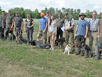 An einem Grundkurs der BJV-Kreisgruppe Ebern nahmen neun Jagdhunde und ein Begleithund teil. Zweiter von rechts Hundeobmann Hans Heinert, der die Hunde und ihre Führer ausgebildet hatte  Foto: Simon Albrecht