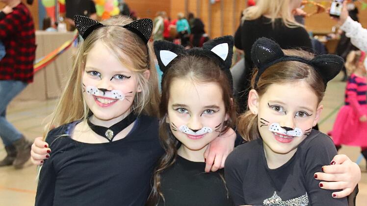 ESC-Kinderfasching in der Höchstadter Aischtalhalle.  Foto: Johanna Blum