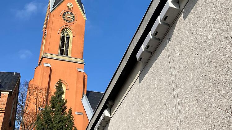 Stadt Bamberg bringt Nistkästen an - das steckt dahinter