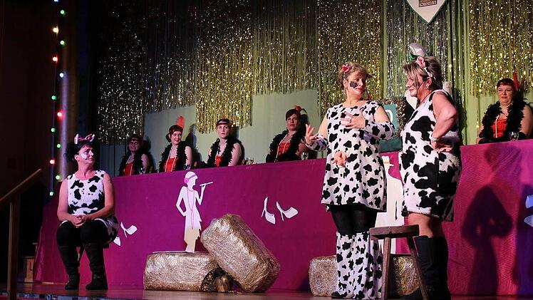 40. Elferratssitzung in der Rhönfesthalle. Foto: TSV Stangenroth
