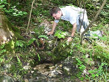 Da ist sie! Reporter Matthias Litzlfelder hat die Quelle des Eggerbachs gefunden, südlich von Kalteneggolsfeld, etwas versteckt mitten im Wald. Der Bach fließt durchs Forchheimer Land und später in den Main-Donau-Kanal. Foto: Ronald Rinklef