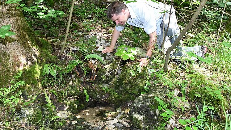 Da ist sie! Reporter Matthias Litzlfelder hat die Quelle des Eggerbachs gefunden, südlich von Kalteneggolsfeld, etwas versteckt mitten im Wald. Der Bach fließt durchs Forchheimer Land und später in den Main-Donau-Kanal. Foto: Ronald Rinklef