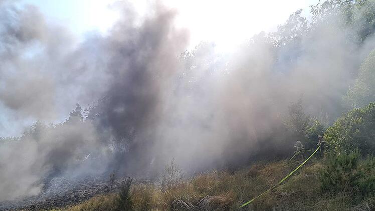 Waldbrand an der A73 im Kreis Coburg verhindert