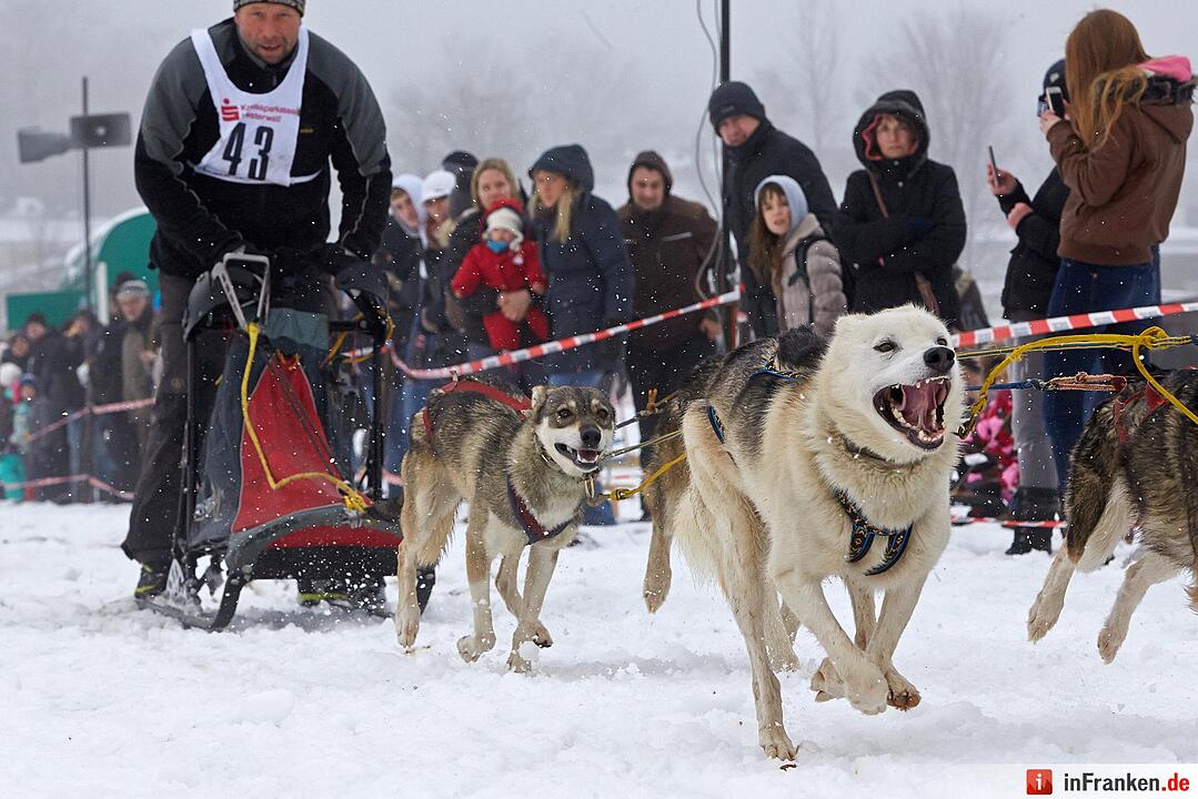 Schlittenhunderennen in Liebenscheid