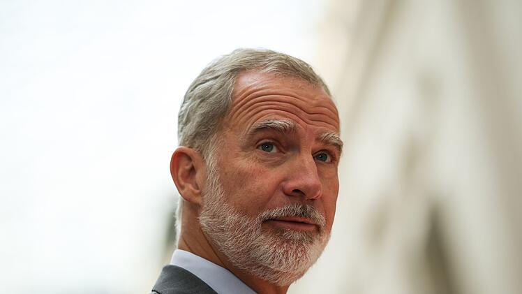 K&ouml;nig Felipe VI.