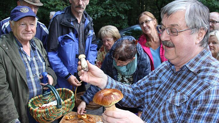 "Oh, ja doch einige Steinpilze dabei", ruft Herbert Stang (rechts) aus als ihm diese Exemplare gereicht wurden. Er hatte "gewettet", dass niemand solchen finden wird.  Fotos: Helmut Will