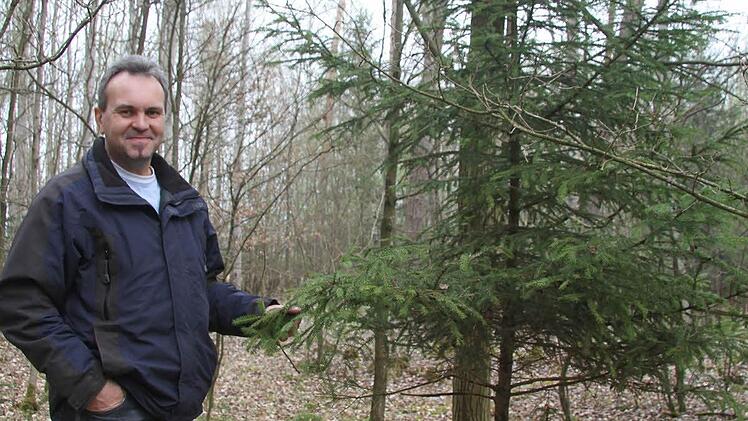 Fichten muss man nicht anpflanzen, die kommen von selbst, lacht Günther Heinrich aus Marktschorgast .