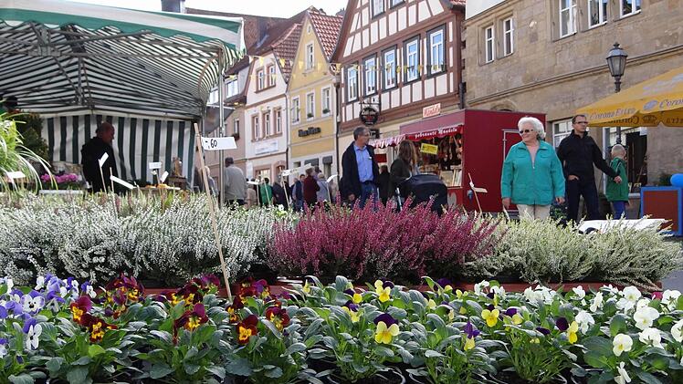 Stiefmütterchen und Co. warteten am Kirchweihmarkt auf neue Besitzer mit grünem Daumen.